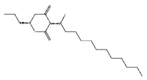 Figure 25