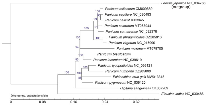 Figure 6