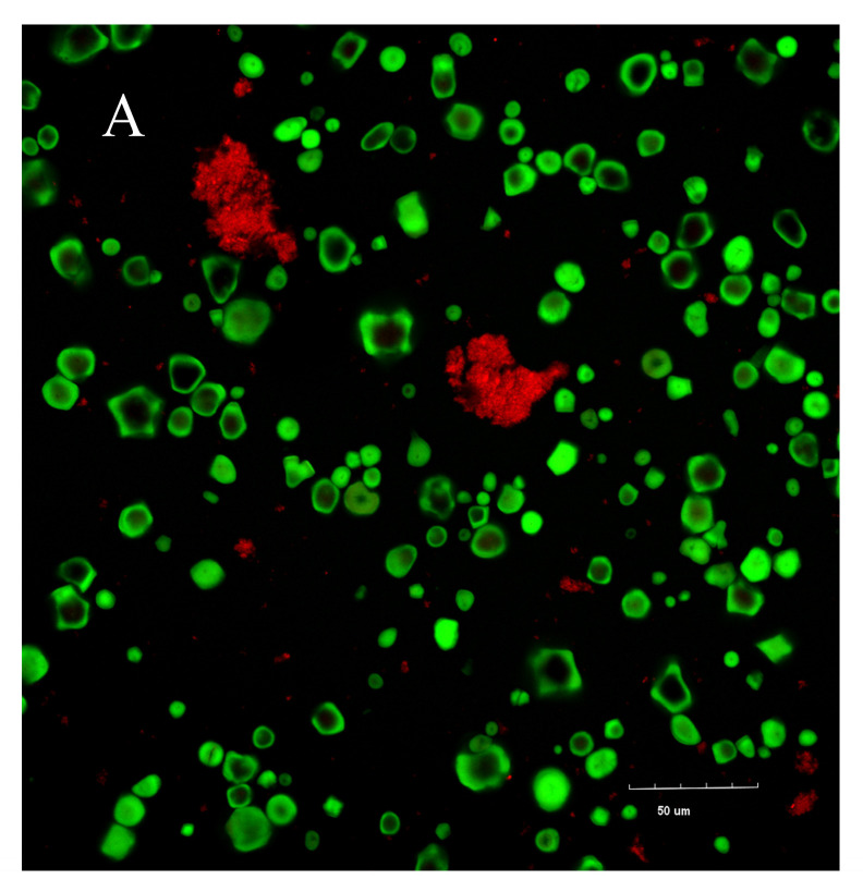 Figure 10
