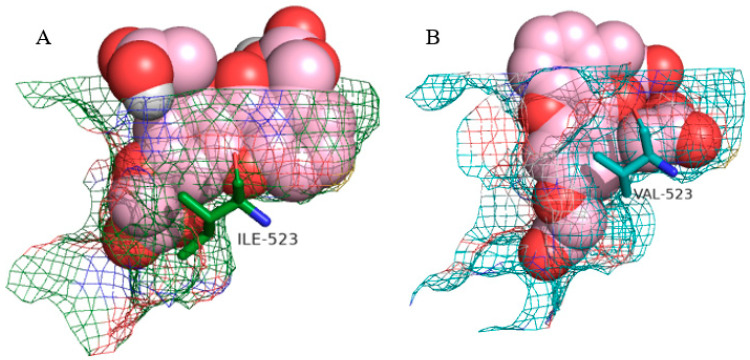 Figure 5