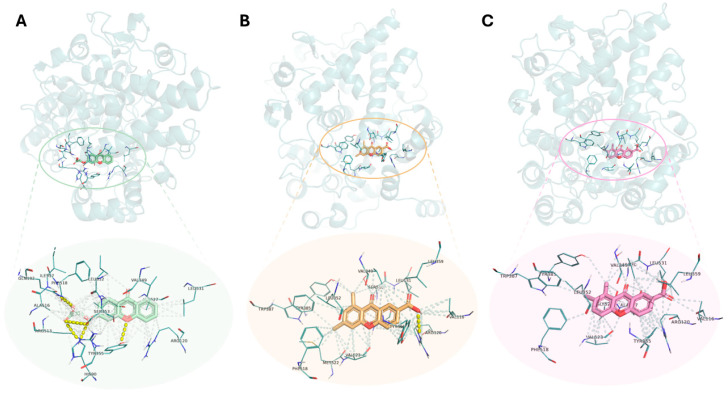 Figure 6