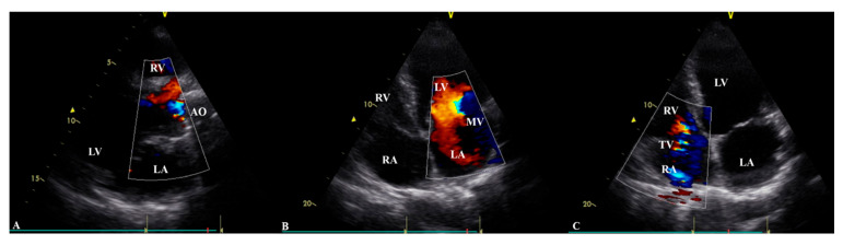 Figure 2
