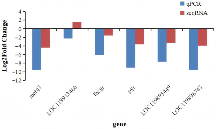 Figure 11