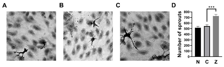 Figure 7