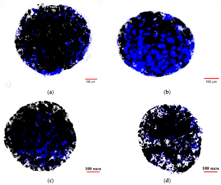 Figure 12