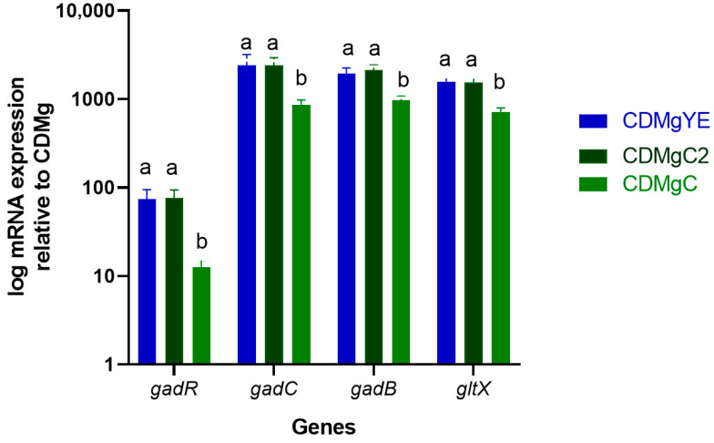Figure 6