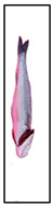 Figure 23