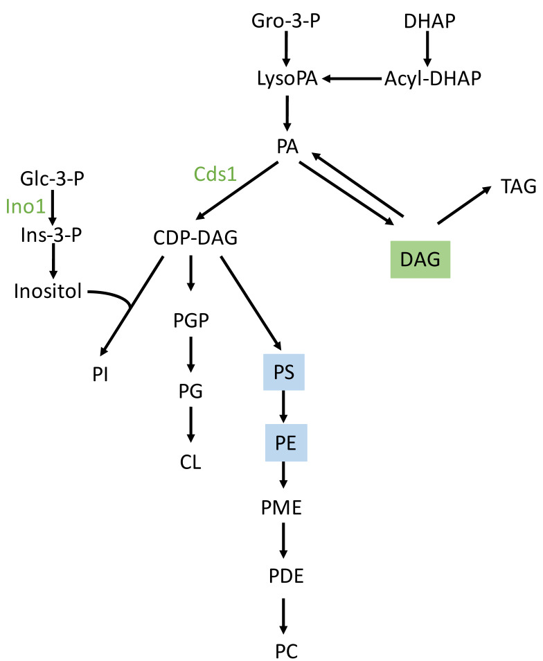 Figure 9