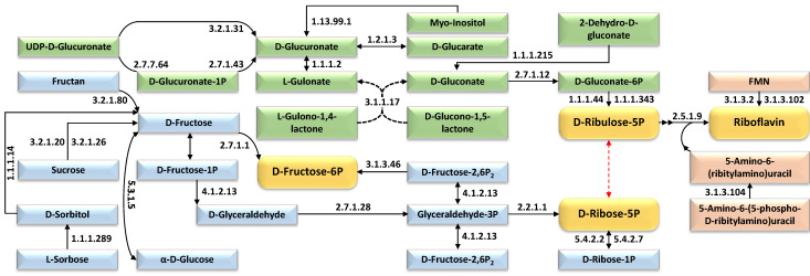 Figure 6