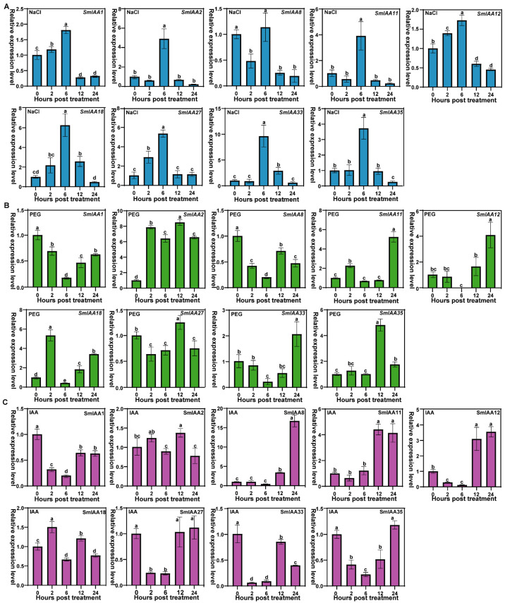 Figure 10