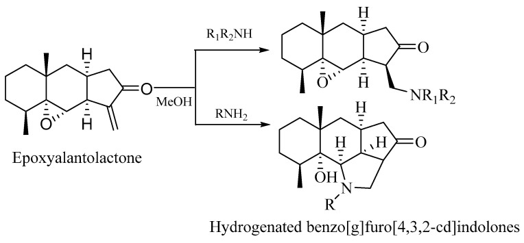 Figure 11