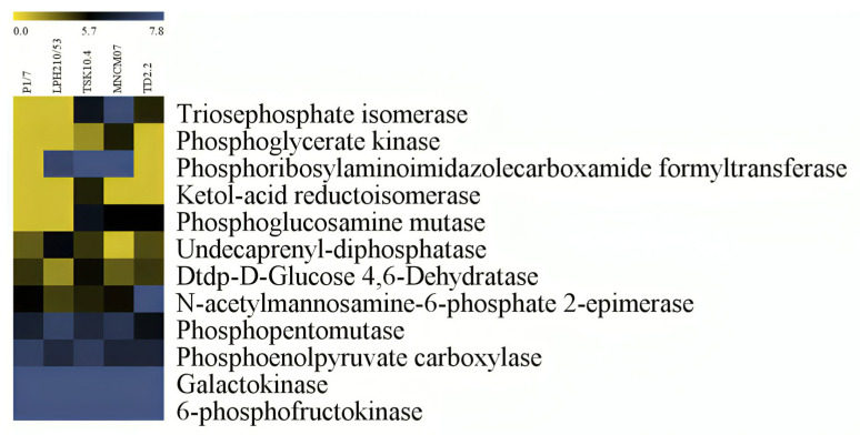 Figure 7