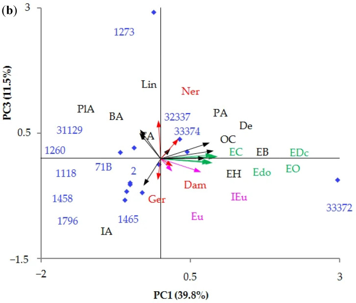Figure 13