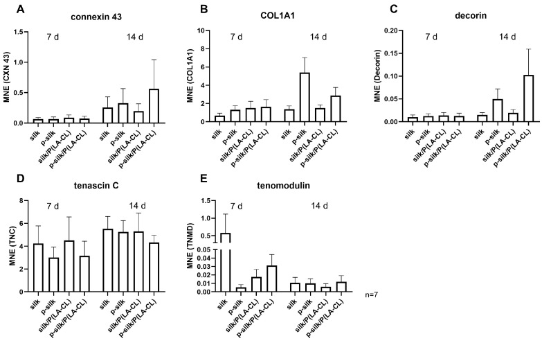 Figure 13