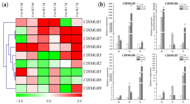 Figure 7