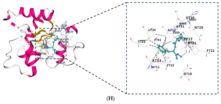 Figure 12