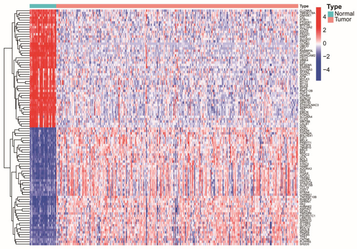 Figure 13