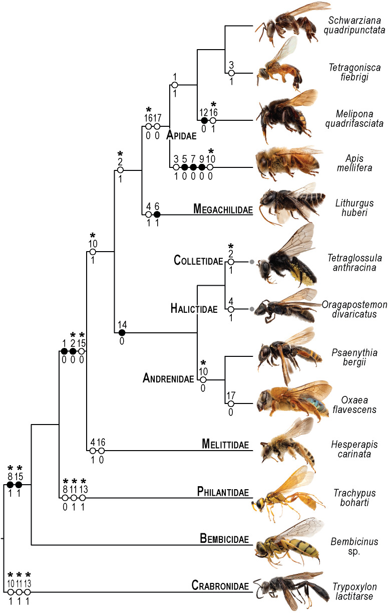 Figure 10