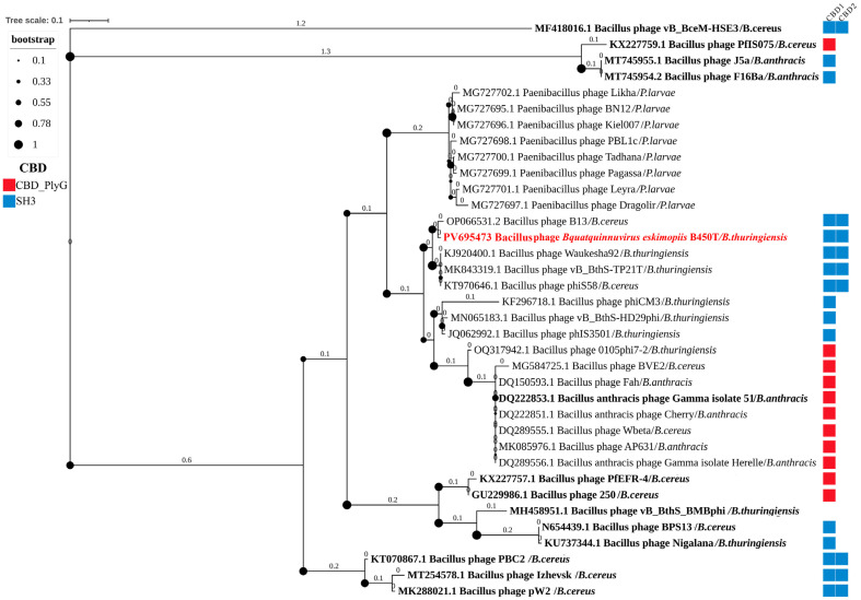 Figure 10