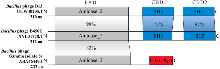 Figure 11