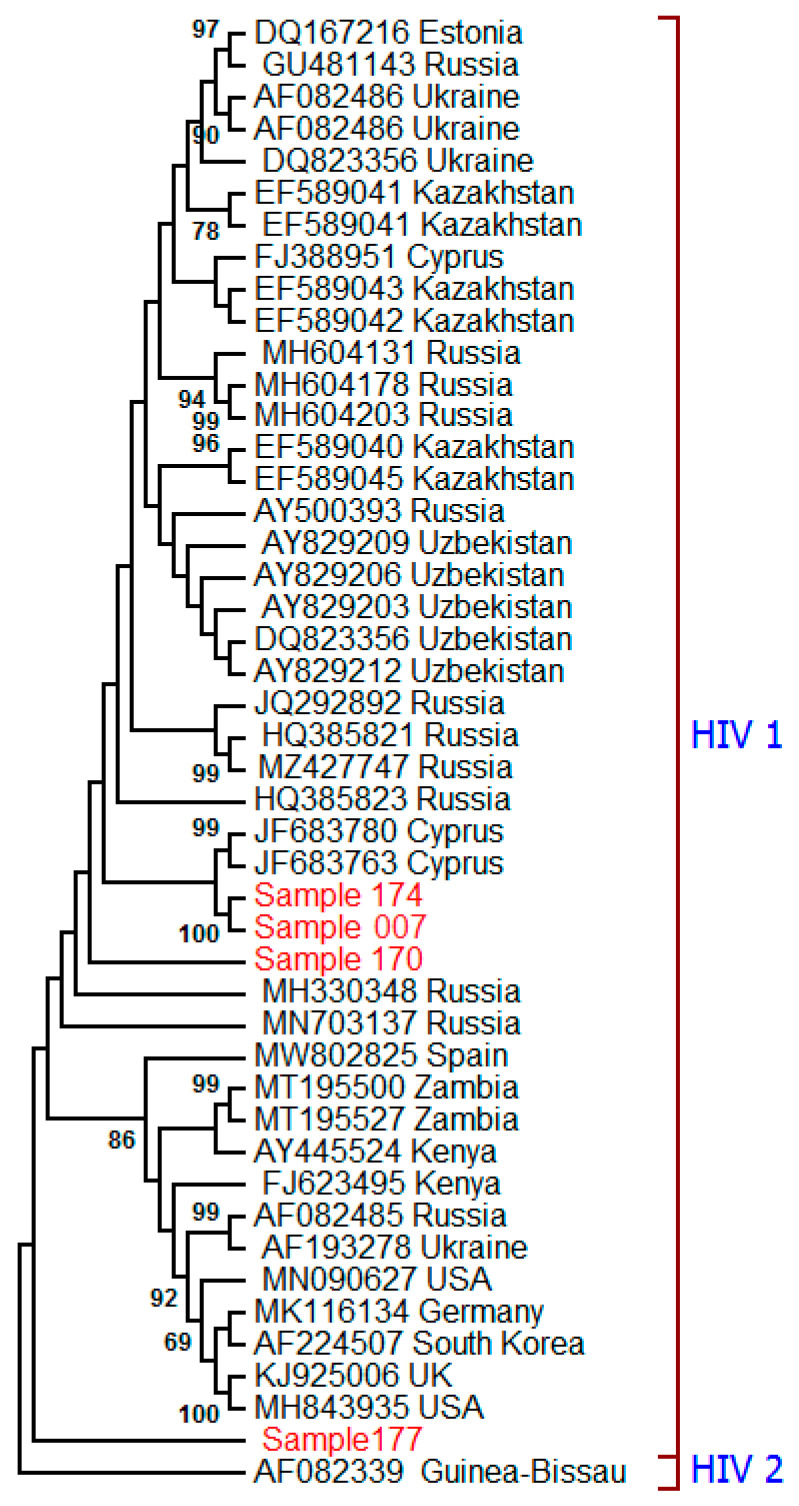 Figure 2