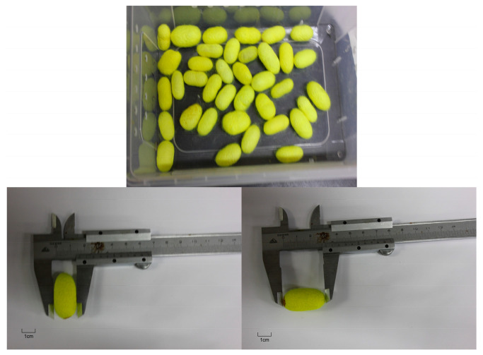 Figure 11
