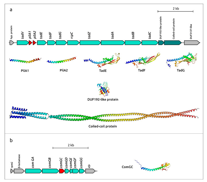Figure 14