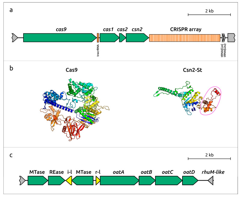 Figure 15