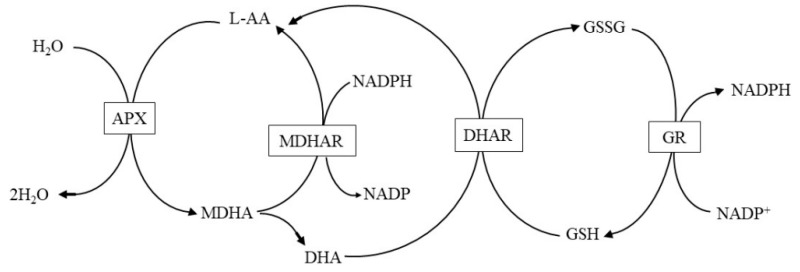 Figure 14