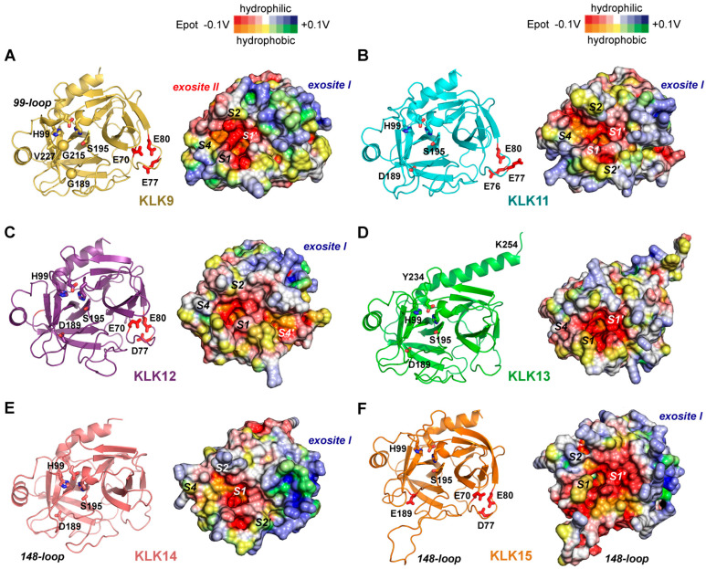 Figure 10