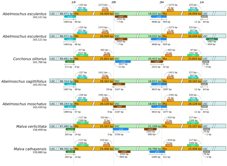Figure 7