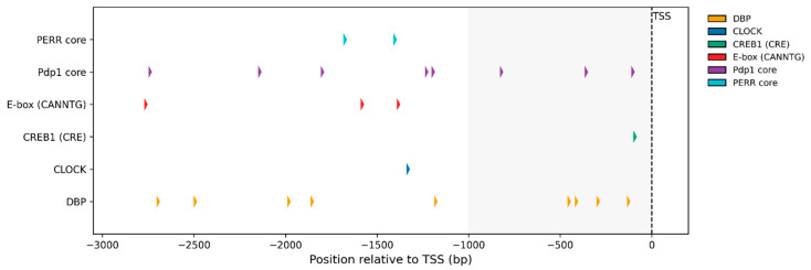 Figure 7