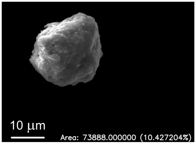 Figure 13