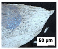 Figure 21