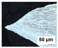 Figure 24