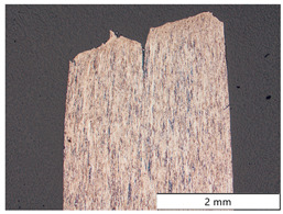 Figure 19