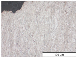Figure 24