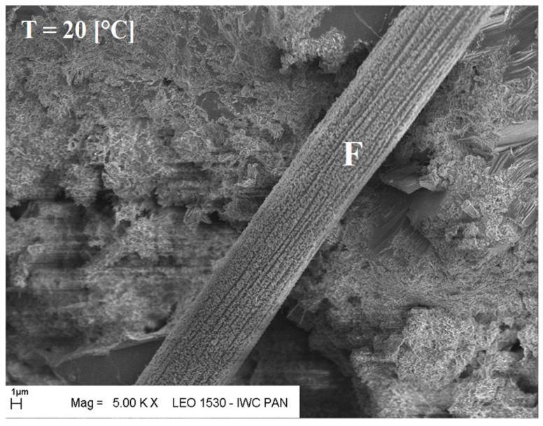 Figure 21