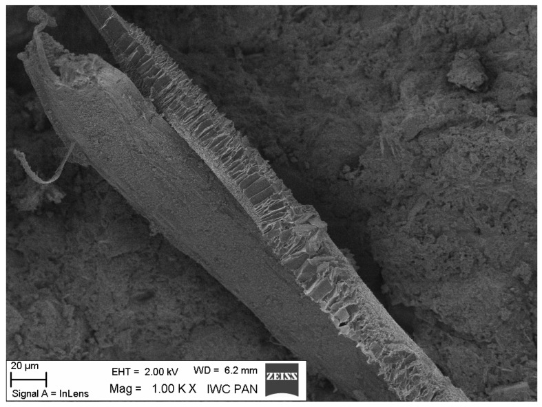 Figure 22