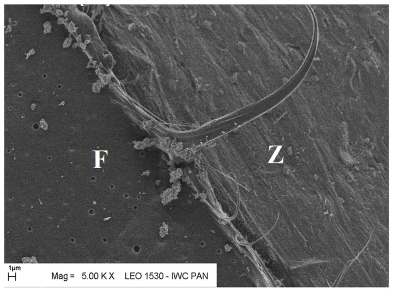 Figure 24