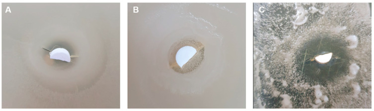 Figure 13