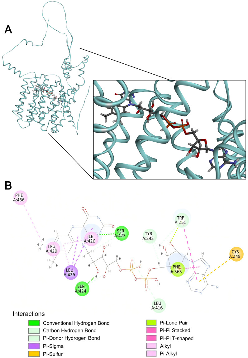 Figure 9