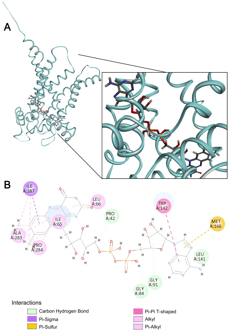 Figure 10