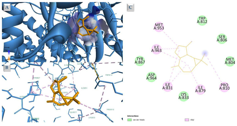 Figure 9