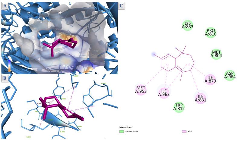 Figure 10