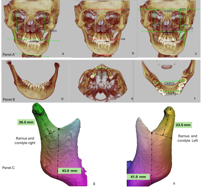 Figure 5