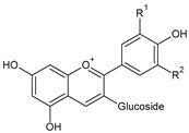 Figure 13