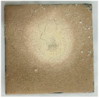 Figure 22