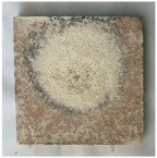 Figure 25