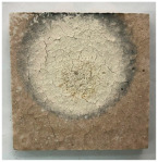 Figure 28